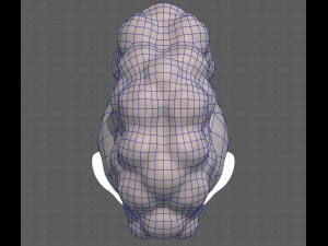 Base Hair for Boy V55 Modelo 3D