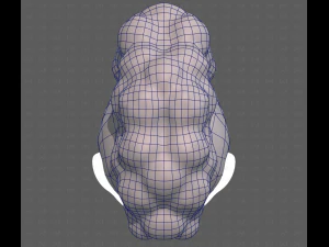 Base Hair for Boy V55 3D Model