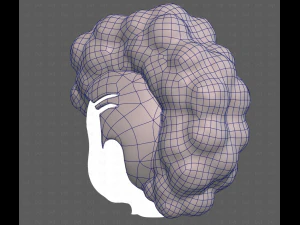 Base Hair for Boy V55 3D Model