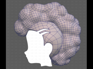 Base Hair for Boy V55 Modelo 3D
