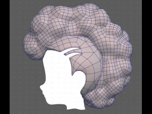 Base Hair for Boy V55 3D Model