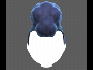Base Hair for Boy V55 Modelo 3D
