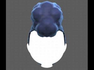 Base Hair for Boy V55 3D Model