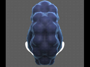 Base Hair for Boy V55 3D Model