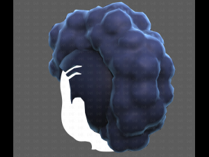 Base Hair for Boy V55 Modelo 3D