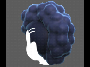 Base Hair for Boy V55 3D Model
