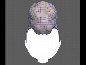Base Hair for Boy V55 3D Model