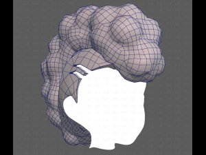 Base Hair for Boy V55 3D Model
