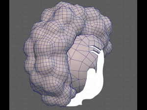 Base Hair for Boy V55 3D Model