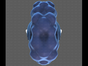 Base Hair for Boy V55 Modelo 3D