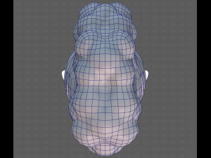 Base Hair for Boy V55 Modelo 3D
