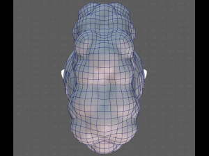 Base Hair for Boy V55 3D Model