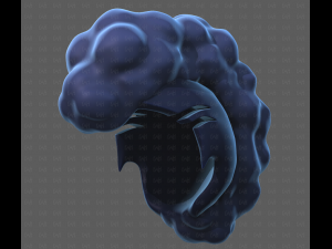 Base Hair for Boy V55 Modelo 3D