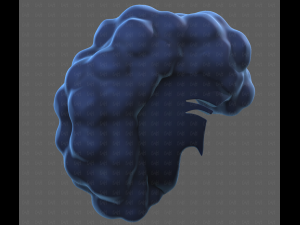 Base Hair for Boy V55 Modelo 3D