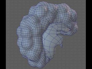 Base Hair for Boy V55 Modelo 3D