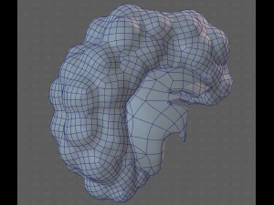 Base Hair for Boy V55 3D Model