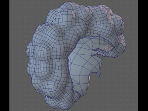 Base Hair for Boy V55 3D Model
