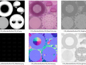Bon&eacute; V59 Modelo 3D