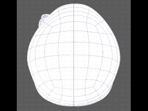 Cap V60 Modello 3D
