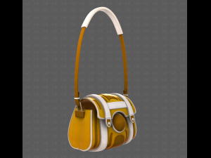 Bag V15 Modelo 3D