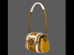 Bag V15 3D Model