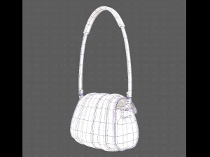 Bag V15 3D Model