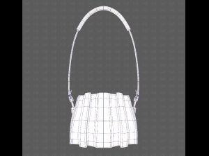 Bag V15 Modelo 3D