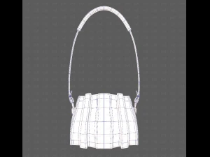 Bag V15 3D Model