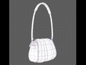 Bag V15 3D Model