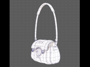Bag V15 Modelo 3D