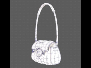 Bag V15 3D Model