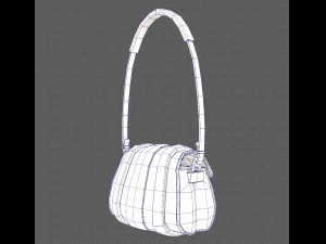 Bag V15 3D Model