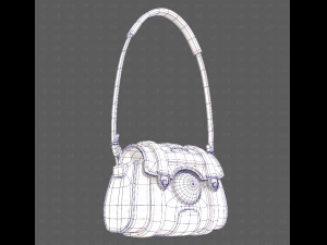Bag V15 3D Model