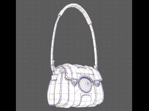 Bag V15 3D Model