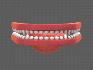 Teeth Cartoon V02 3D Model