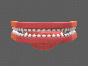 Teeth Cartoon V02 3D Model