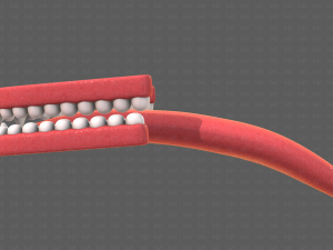 Teeth Cartoon V02 3D Model