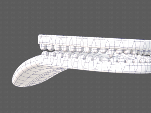 Teeth Cartoon V02 3D Model