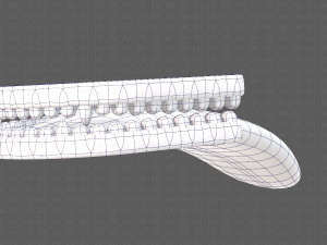 Teeth Cartoon V02 3D Model