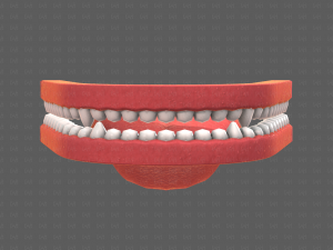 Teeth Cartoon V02 3D Model