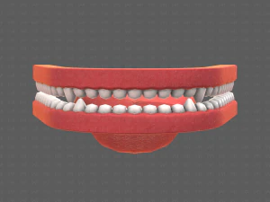 Teeth Cartoon V02 3D Model