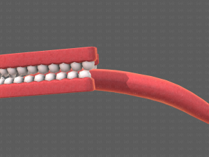 Teeth Cartoon V02 3D Model