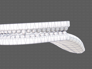 Teeth Cartoon V02 3D Model