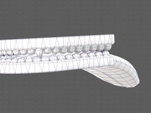 Teeth Cartoon V02 3D Model