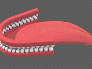 Teeth Cartoon V02 3D Model