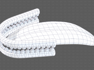 Teeth Cartoon V02 3D Model