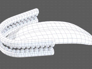 Teeth Cartoon V02 3D Model