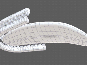 Teeth Cartoon V02 3D Model