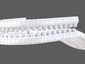 Teeth Cartoon V02 3D Model