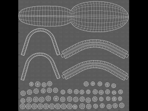 Teeth Cartoon V02 3D Model